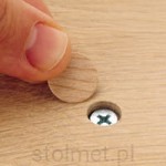 zaślepki samoprzylepne do konfirmatów opk.25 szt